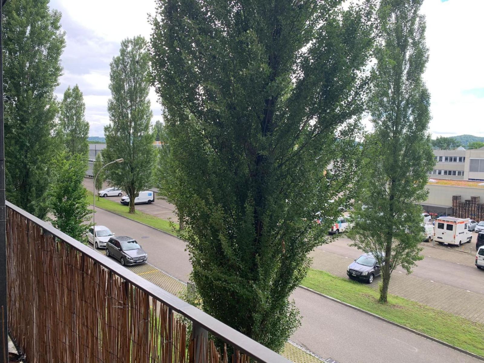 Rheinfelden Homestay *